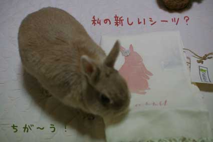 ܂ȂŁ`